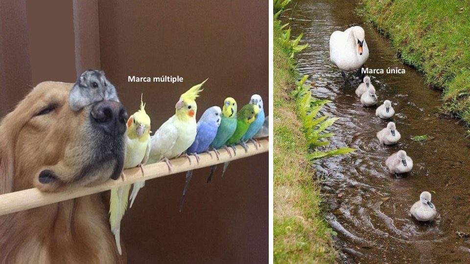 Modelo de arquitectura de marcas