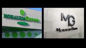 Cambio de identidad visual Moraleja Green