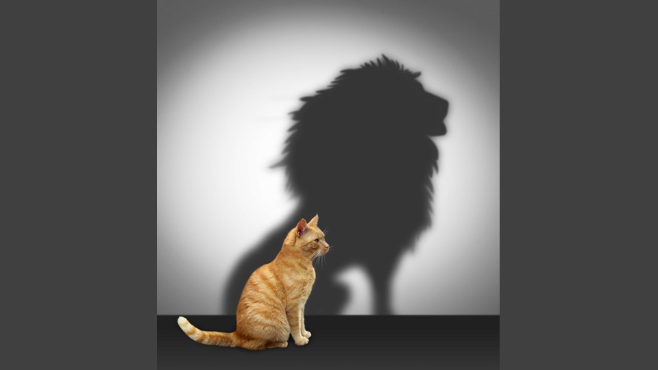 5 aspectos a tener en cuenta al internacionalizar una marca