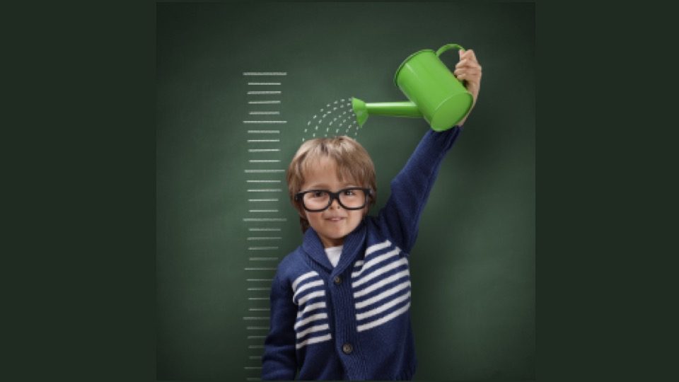 Palancas de crecimiento empresarial