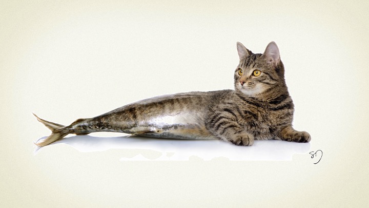 Posicionar es sacrificar