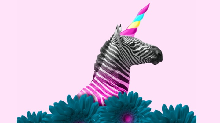 Marca competente vs competitiva