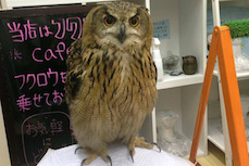 Restaurantes-diferentes